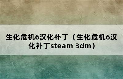 生化危机6汉化补丁（生化危机6汉化补丁steam 3dm）